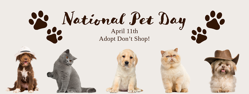 National Pet Day - ADOPT, don't shop!