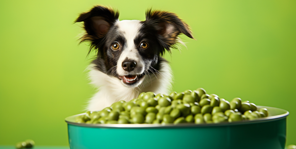 Peas in dog diet